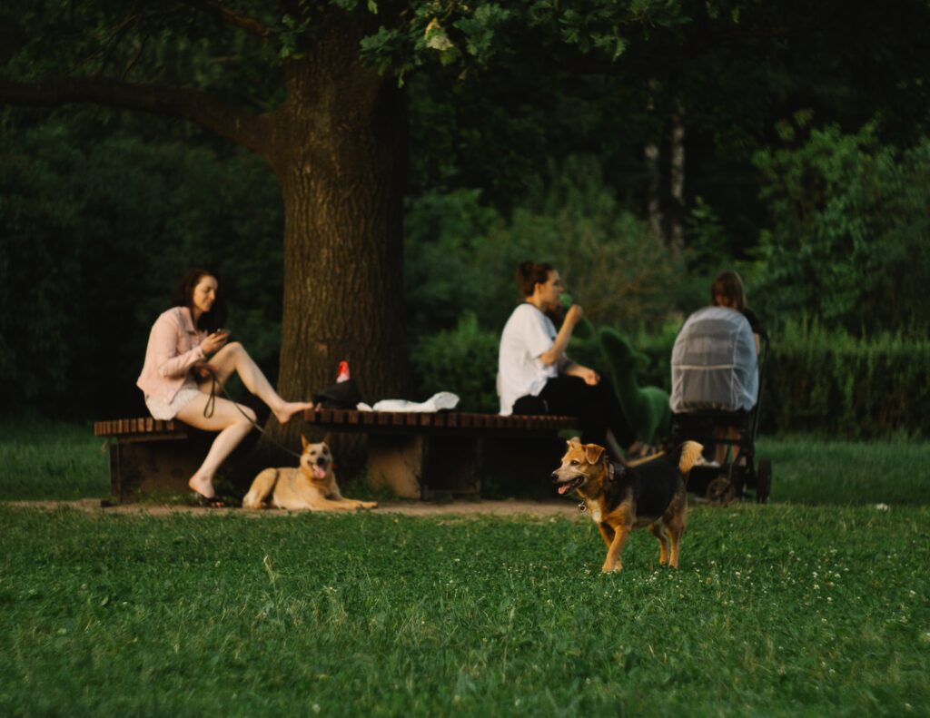 a couple of people sitting on a bench with a dog